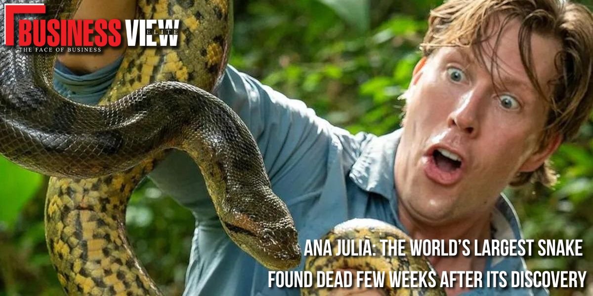 World's Largest Snake Ana Julia Found Dead In Amazon Rainforest