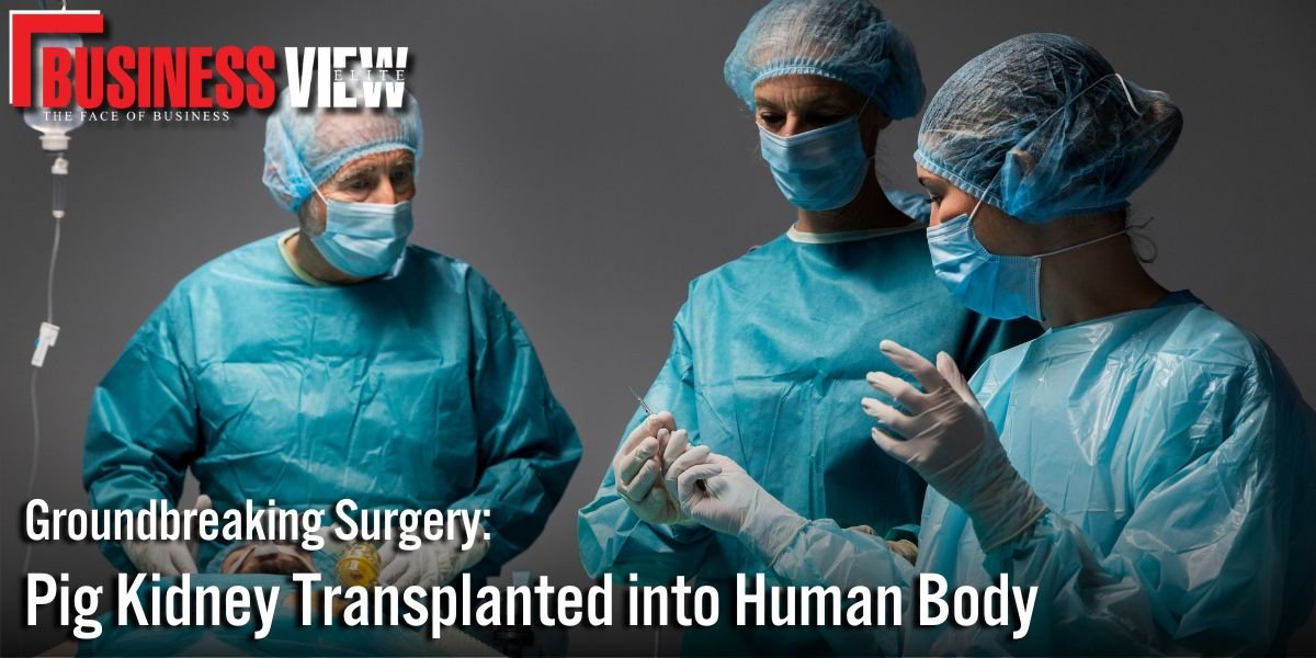 Groundbreaking Surgery: Pig Kidney Transplanted into Human Body